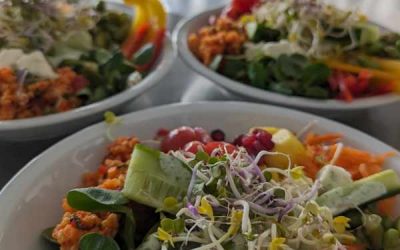 Kochen am Pädagogischen Tag – Ein voller Erfolg