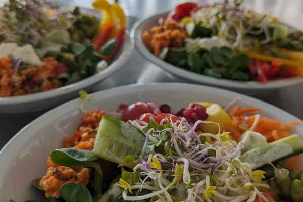 Kochen am Pädagogischen Tag – Ein voller Erfolg